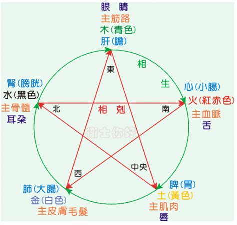 姓名 金木水火土|金木水火土五行查询表